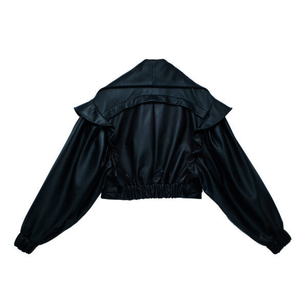 JS-038 - Image 2